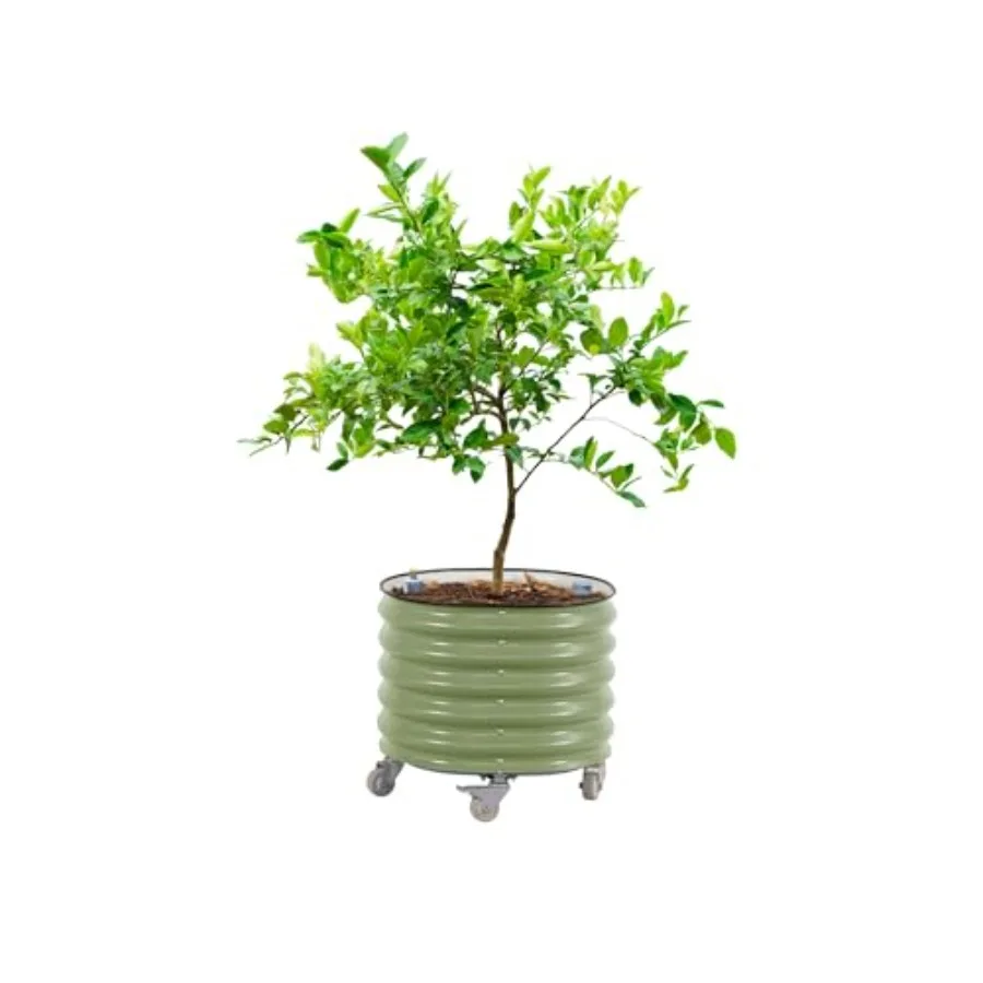 Self-Watering Planter - Круглые большие кашпо для цитрусовых Gen