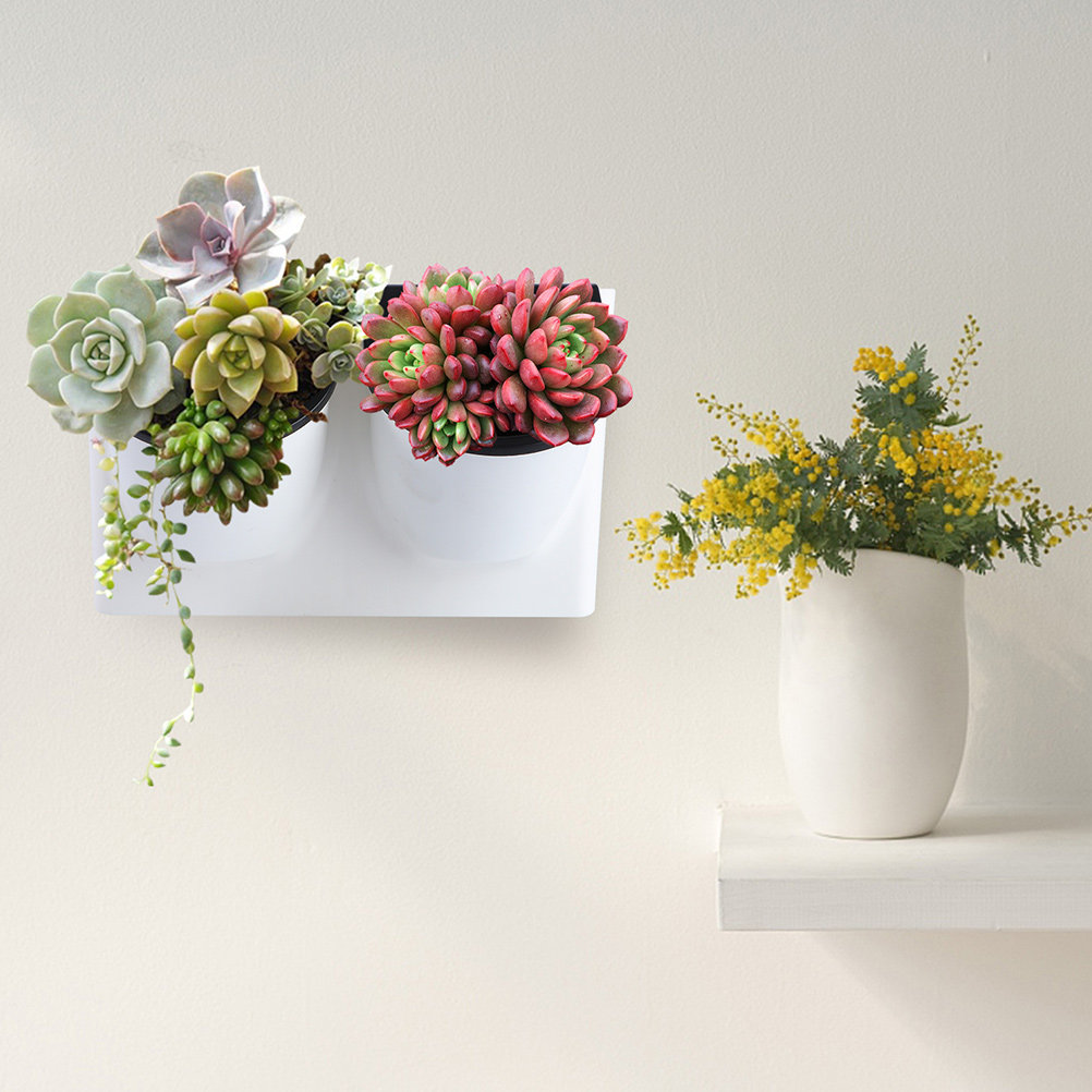 Самополивной горшок для цветов – обзор и цена Self-Watering Planter