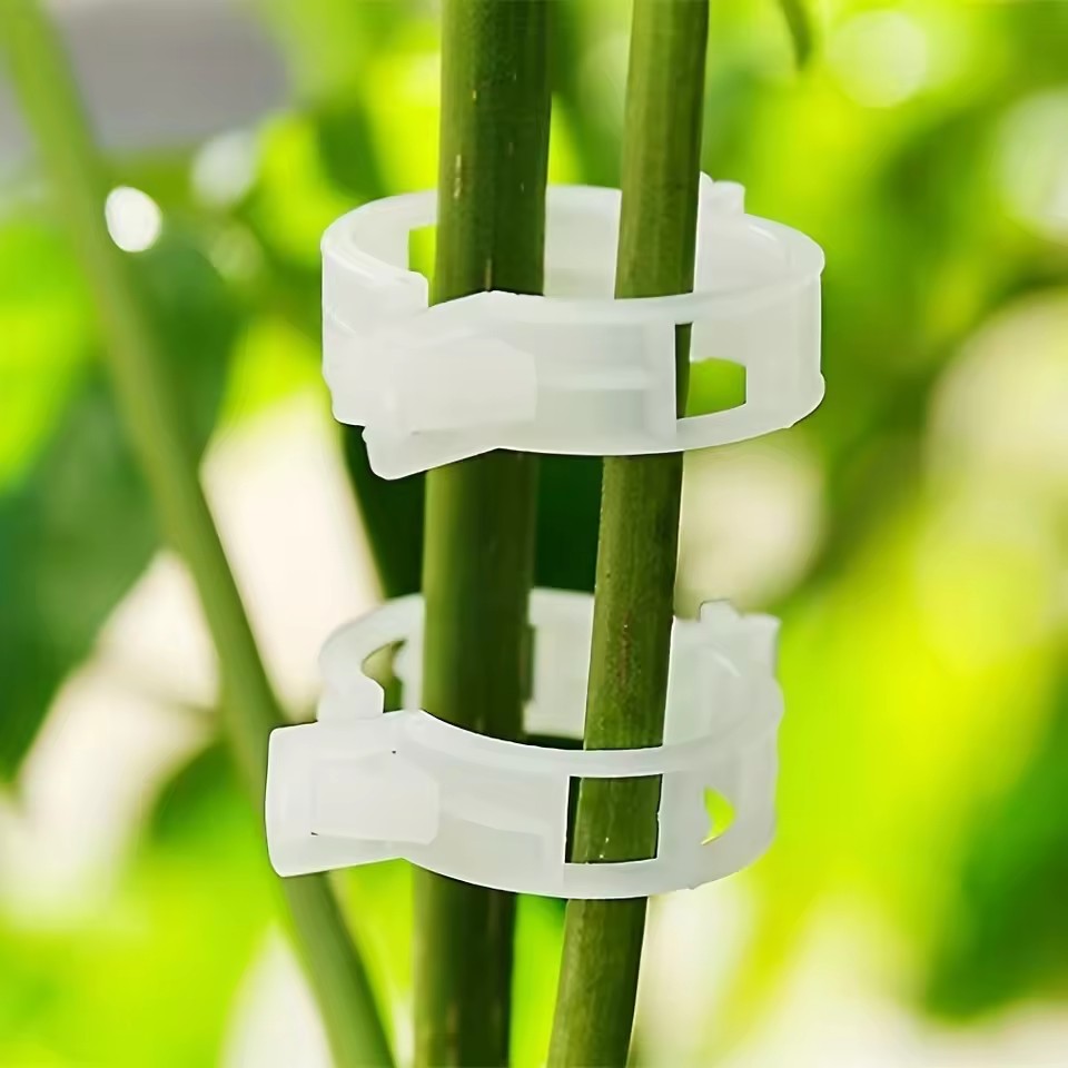 20 шт. зажимов для поддержки р – обзор и цена Gardening Tools Vegetables