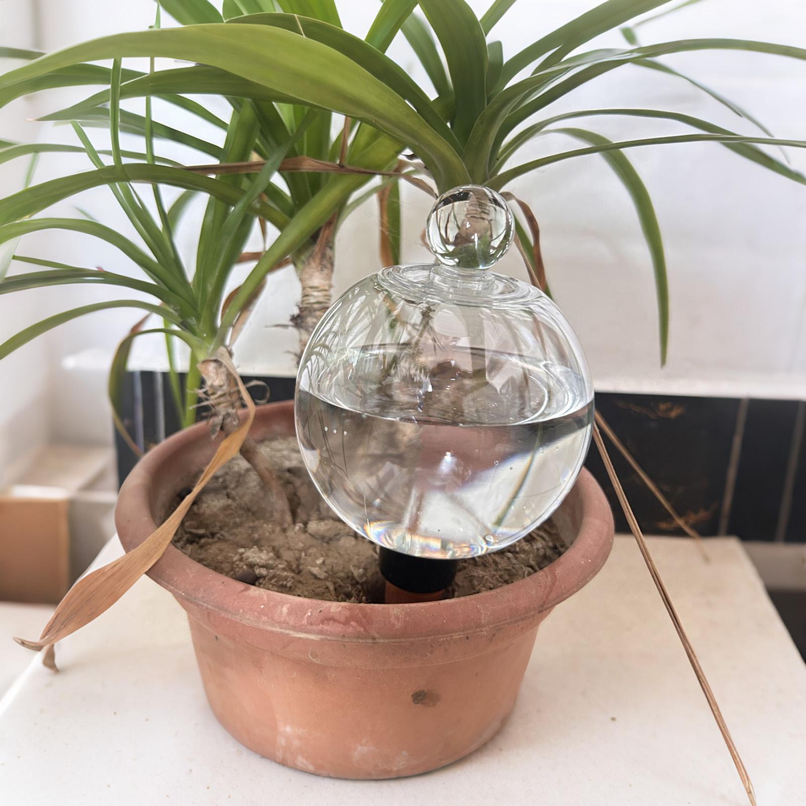 Автоматические капельные систе – обзор и цена Automatic Plant Waterer