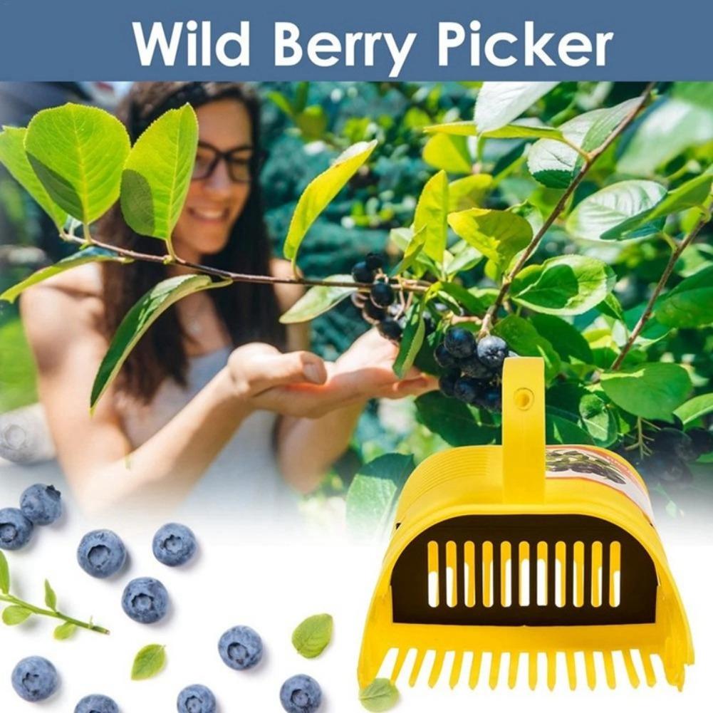 Инструмент для сбора черники с – обзор и цена Gardening Tools Must Haves