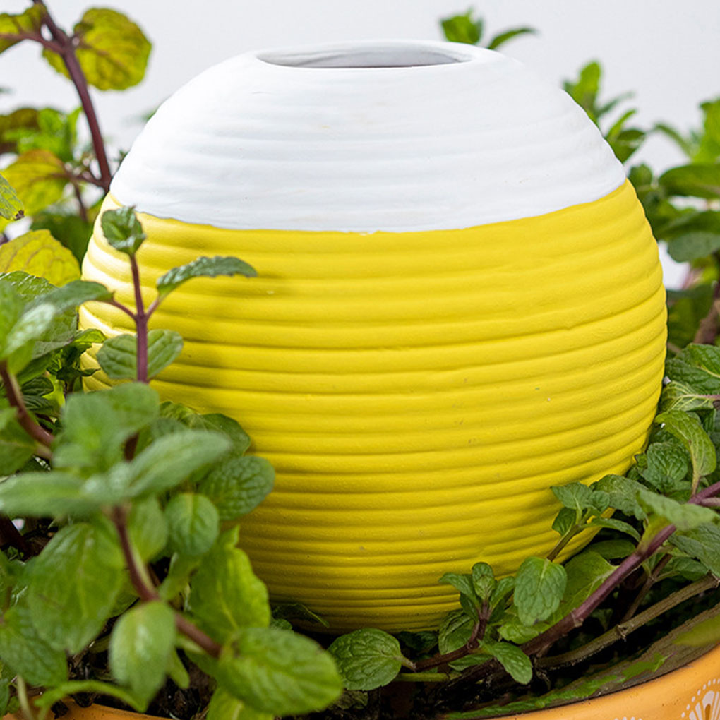 Автоматический ирригатор для р – обзор и цена Gardening Tools Must Haves