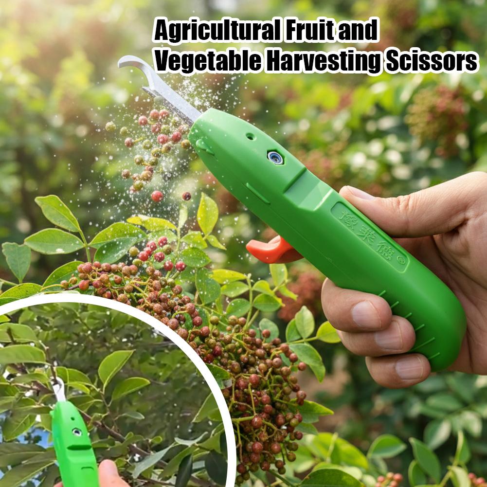 Секаторы для сбора фруктов и о – обзор и цена Gardening Tools Vegetables