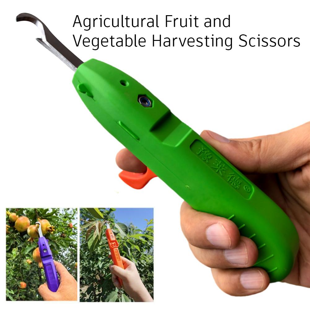 Портативный многофункциональны – обзор и цена Gardening Tools Vegetables