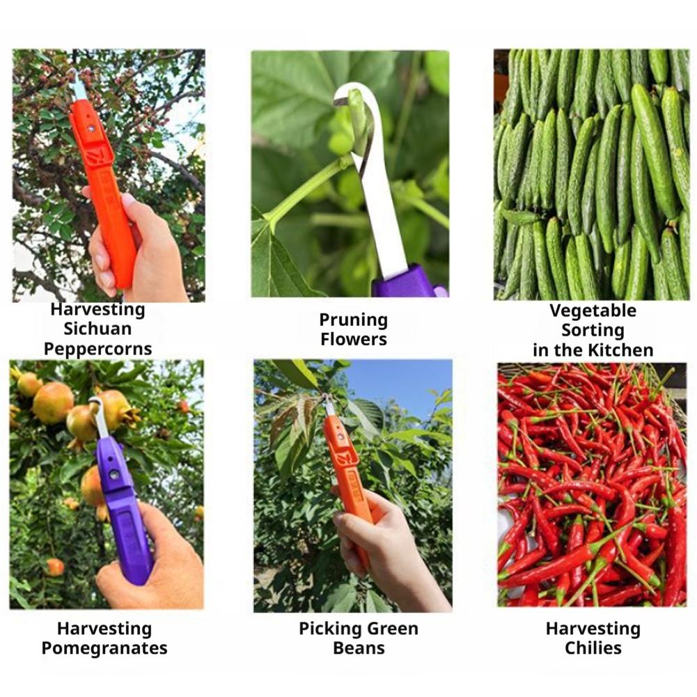 Портативный многофункциональны – обзор и цена Gardening Tools Vegetables