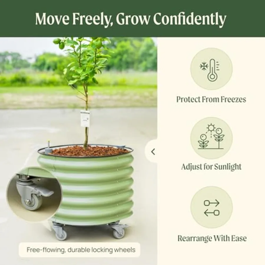 Круглые большие кашпо для цитр – обзор и цена Self-Watering Planter