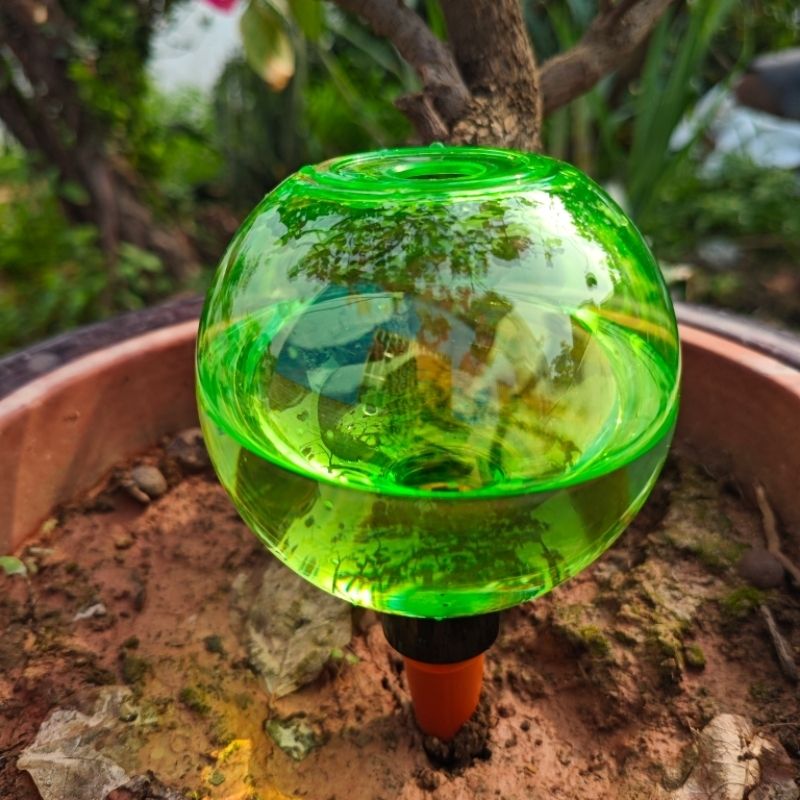 Набор из 3 больших пластиковых – обзор и цена Self-Watering Planter