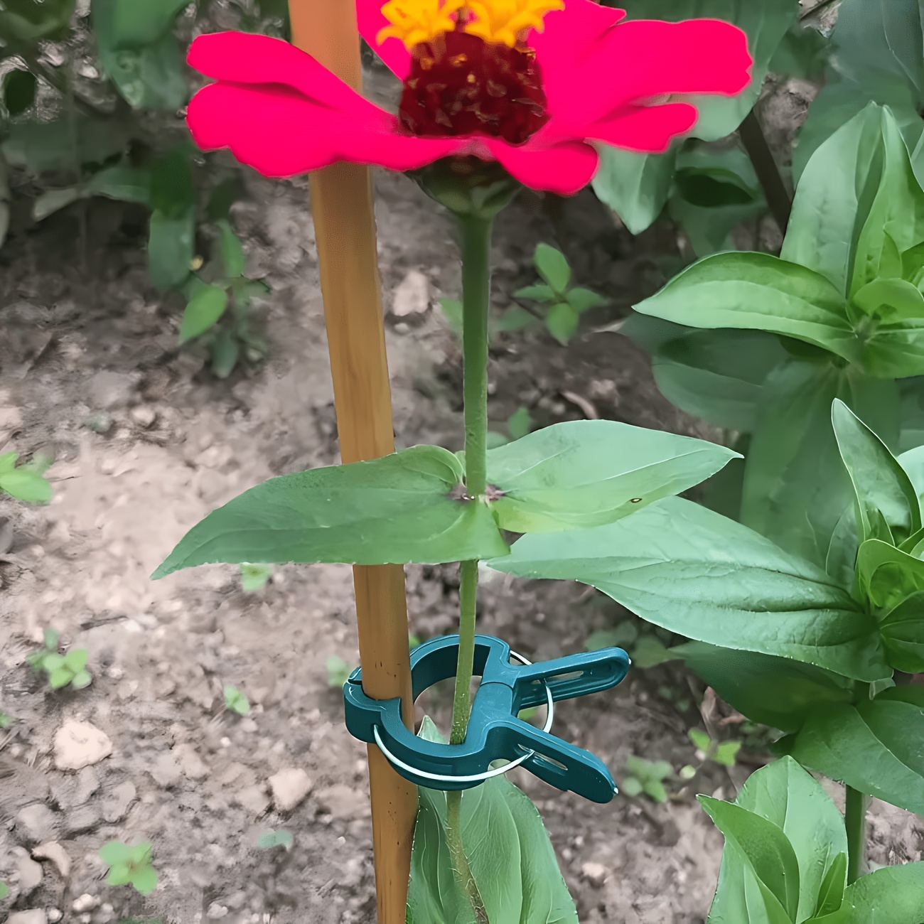 5 регулируемых клипс для расте – обзор и цена Gardening Tools Essential