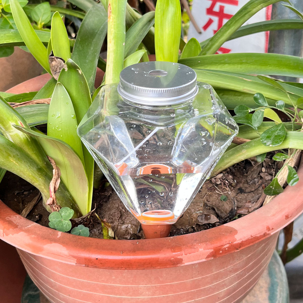 1 шт. Милый пластиковый автома – обзор и цена Automatic Plant Waterer