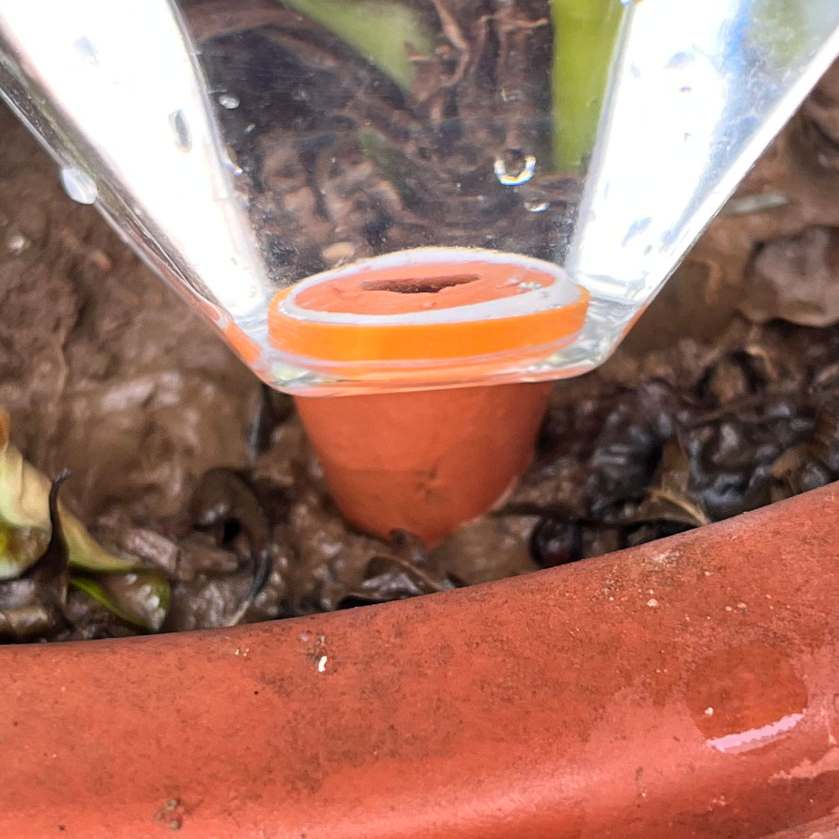 1 шт. Милый пластиковый автома – обзор и цена Automatic Plant Waterer